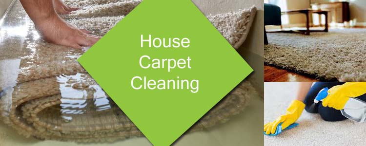 House Carpet Cleaning